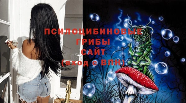спиды Переславль-Залесский