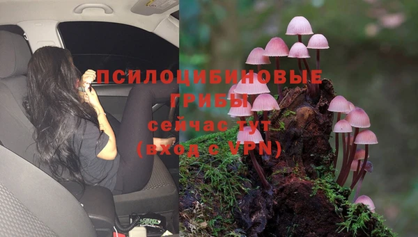 спиды Переславль-Залесский
