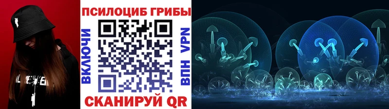 Псилоцибиновые грибы мухоморы  наркошоп  Арск 
